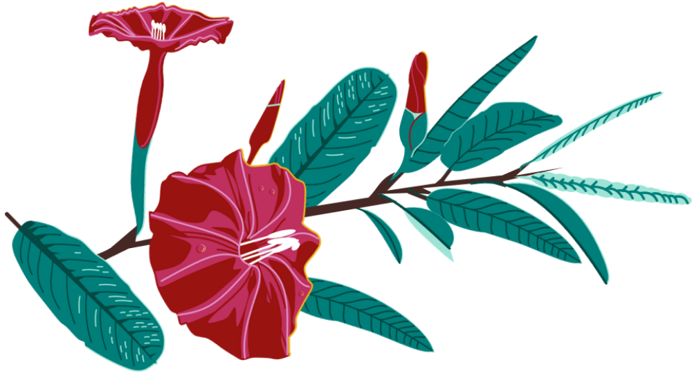 An artistic depiction of the carajas flower with a stem and leaves. 